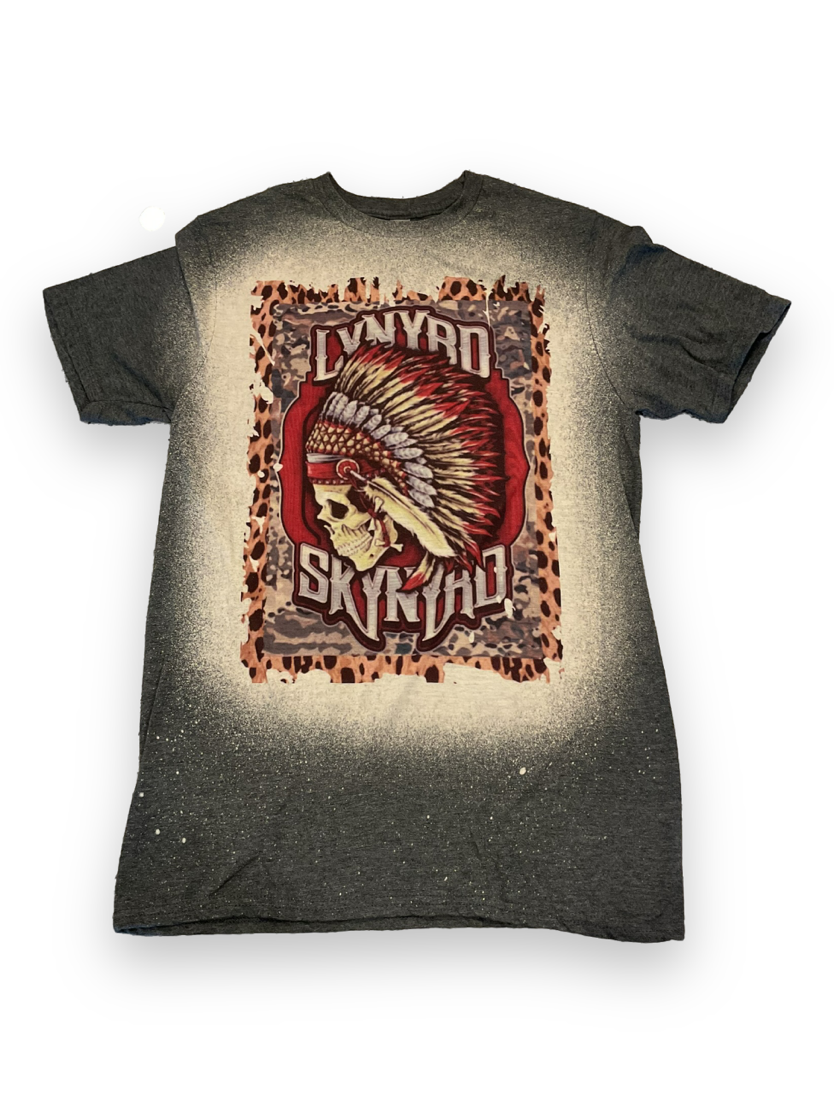 Lynard Skynard T shirt (small)