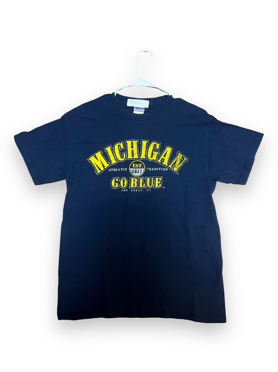 Michigan T shirt (medium)